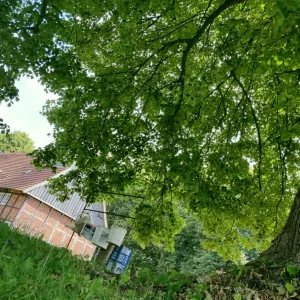 2016-07-24_22.20.56[1].jpg