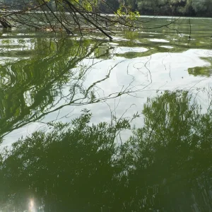 DSCN1707.JPG