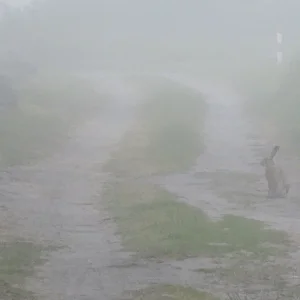 DSCN1514.JPG