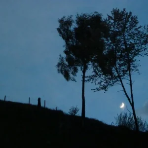 P1000530.JPG