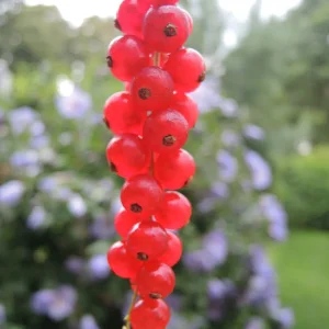 DSCN2269.JPG