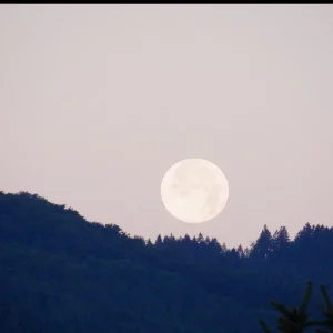 20160720_01.JPG
