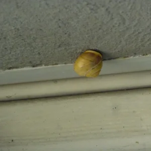 P1010584.JPG