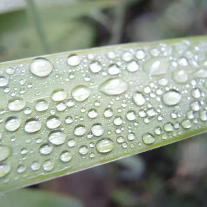 DSCN2335.JPG