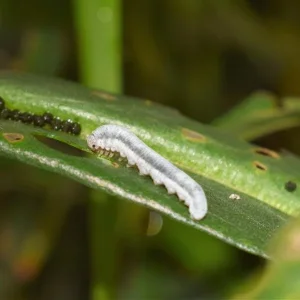 K800_DSC_0001 (3).JPG