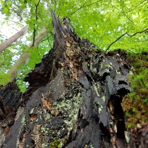 20160823_173621[1].jpg
