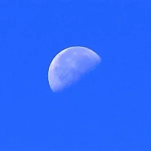 DSC_0263.JPG