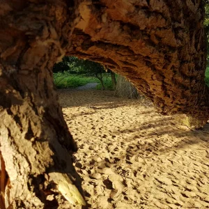 20160823_183044[1].jpg