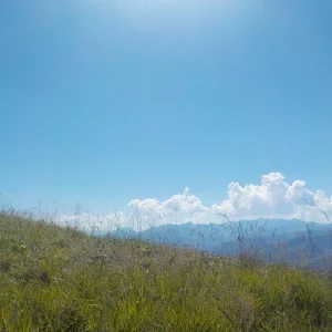 DSCN2000.JPG