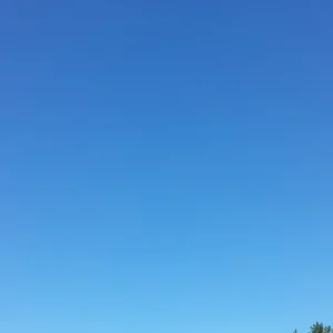 20160828_112159_resize.jpg
