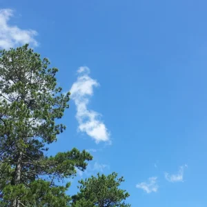 20160829_115155_resize.jpg