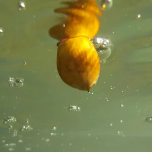 DSCN2055.JPG