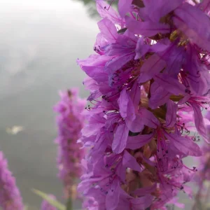 DSCN2074.JPG