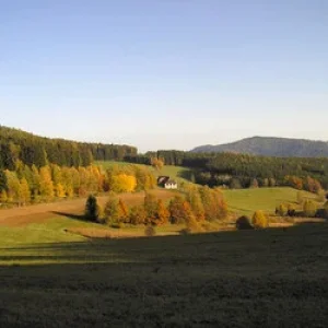 Herbstsonne.story.jpg