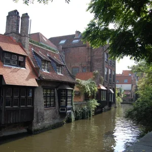 DSC_0351.JPG