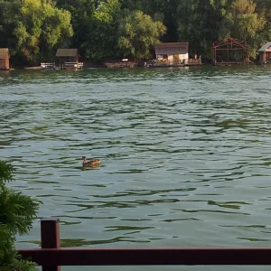 20160821_182512_resize.jpg