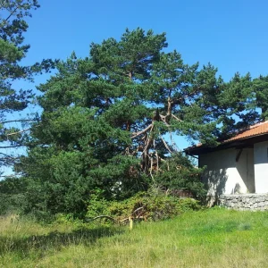 20160828_112110_resize.jpg