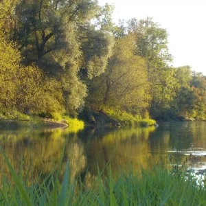 DSCN2155.JPG