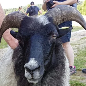 20160911_203157[1].jpg