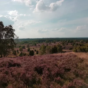 20160911_204952[1].jpg