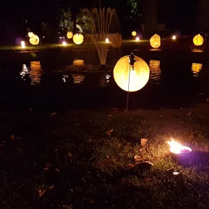20160904_211322_001[1].jpg
