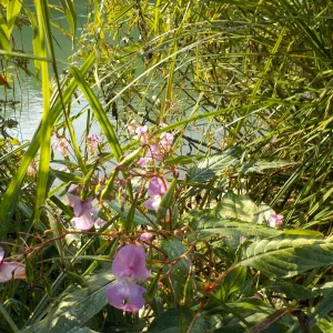 DSCN2267.JPG