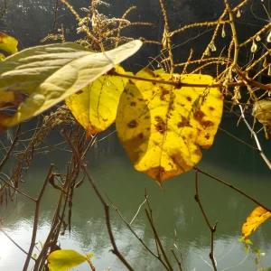DSCN2279.JPG