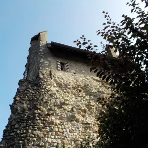 DSCN2311.JPG