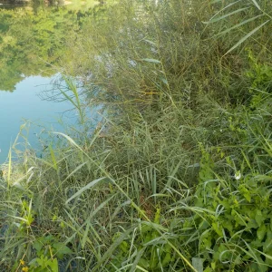 DSCN2305.JPG