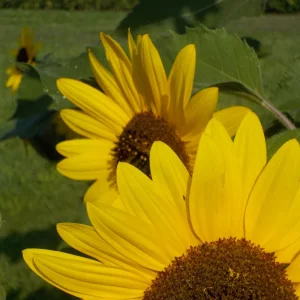 DSCN2348.JPG