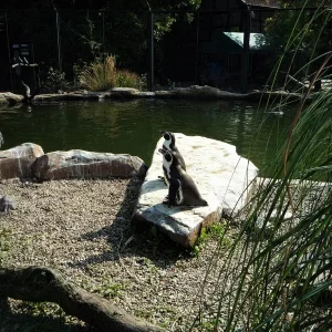 zoo 1.jpg