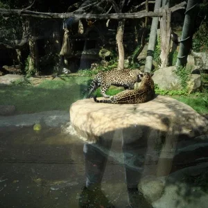 zoo 3.jpg