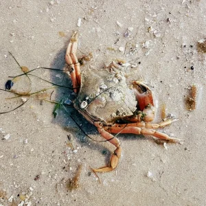 20160925_213722.jpg