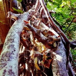 20160925_212105.jpg
