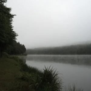 256.JPG