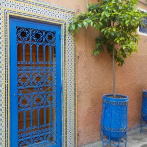 DSCN0019.JPG