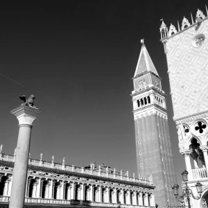 IMG_8746 (2).JPG