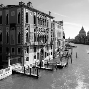 IMG_8756 (2).JPG