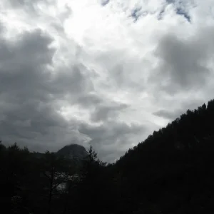 IMG_2302_resize.JPG