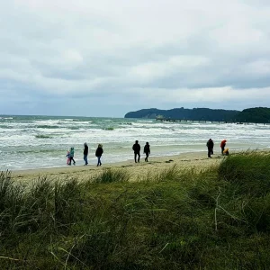 20161011_190359[1].jpg