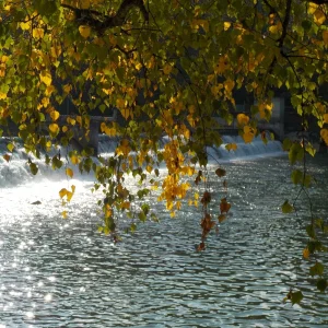DSCN2538.JPG