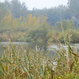 PA160047.JPG