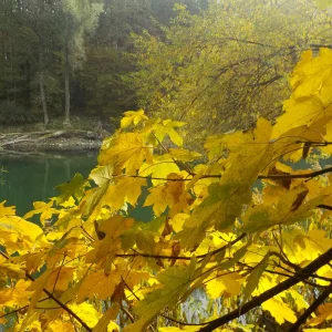 DSCN2556.JPG