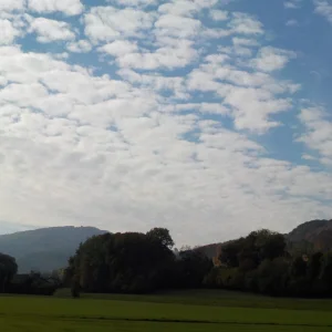 DSCN2630.JPG