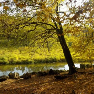 DSCN2666.JPG