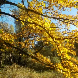 DSCN2698.JPG