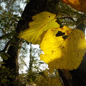 DSCN2725.JPG