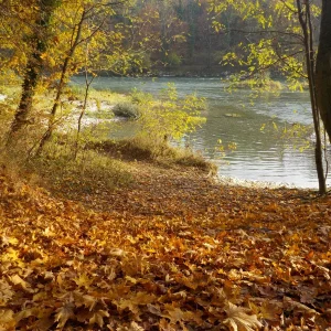 DSCN2730.JPG