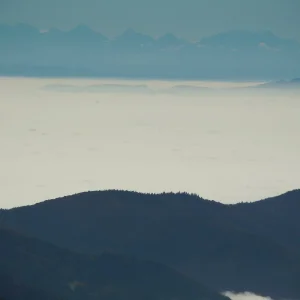 alpen2.jpg