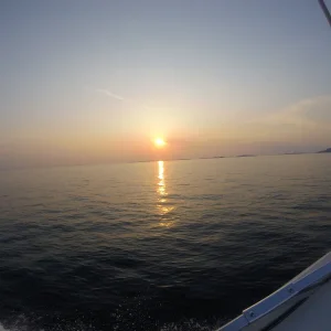 G0213072.JPG